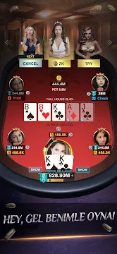 Ekran Görüntüsü 7