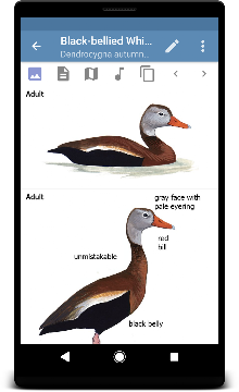 Ekran Görüntüsü 3
