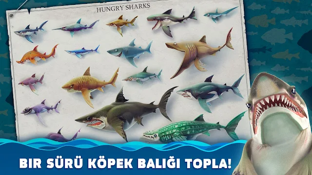 Ekran Görüntüsü 2