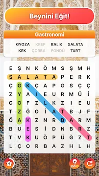 Ekran Görüntüsü 3