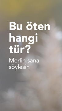 Ekran Görüntüsü 1