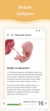 Ekran Görüntüsü 2
