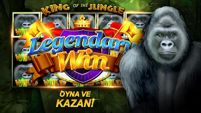 Ekran Görüntüsü 5