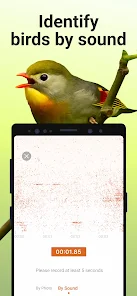Ekran Görüntüsü 3