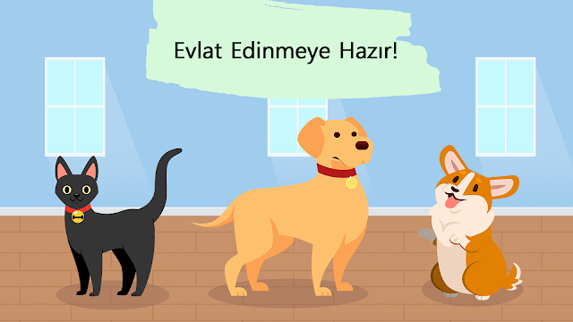 Ekran Görüntüsü 5