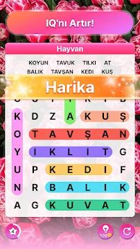 Ekran Görüntüsü 4