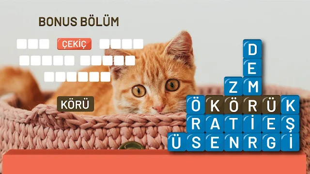 Ekran Görüntüsü 8