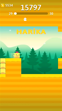 Ekran Görüntüsü 3