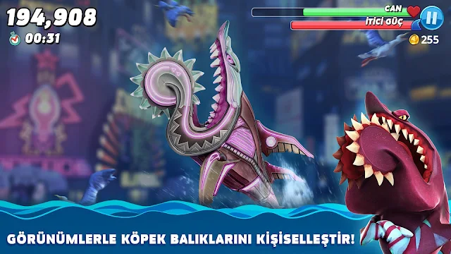 Ekran Görüntüsü 3