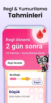 Ekran Görüntüsü 2
