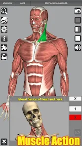 Ekran Görüntüsü 1