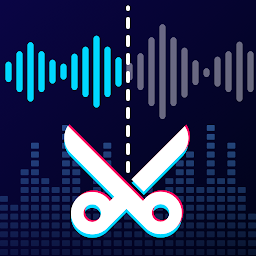 Müzik Editörü, Ses Editörü