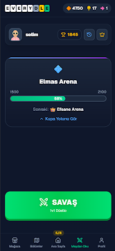 Ekran Görüntüsü 3