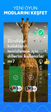 Ekran Görüntüsü 4