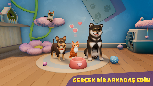 Ekran Görüntüsü 7