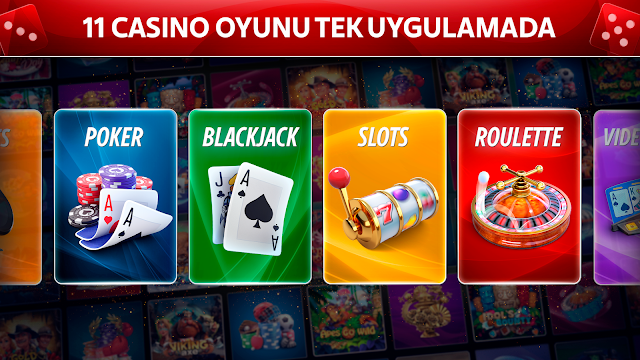 Ekran Görüntüsü 8