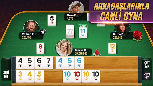 Ekran Görüntüsü 1