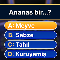Milyoner 2026 - Test Oyunu