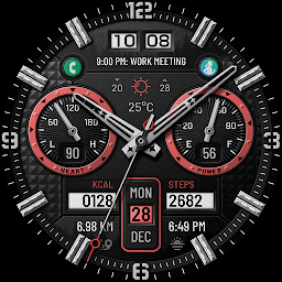 WTW M19 Analog Watch Face