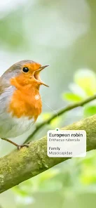 Ekran Görüntüsü 2