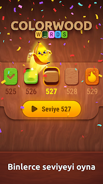Ekran Görüntüsü 4