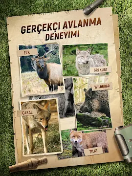 Ekran Görüntüsü 8