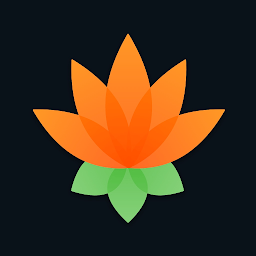 Lotus Chess – Antrenör