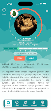 Ekran Görüntüsü 2