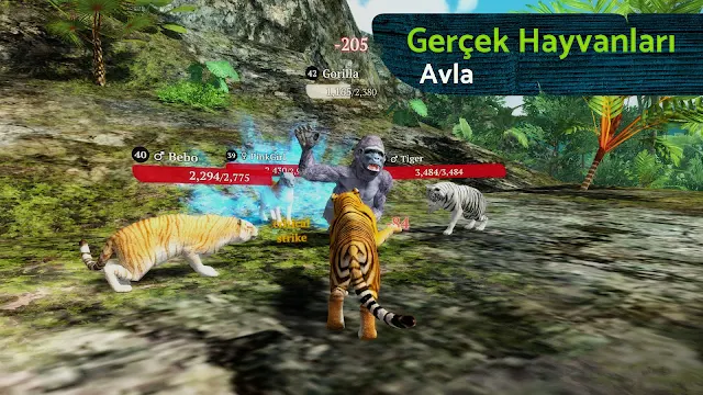 Ekran Görüntüsü 3