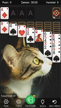 Ekran Görüntüsü 2