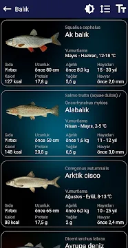 Ekran Görüntüsü 6