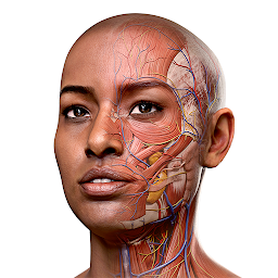 Complete Anatomy - Learn in 3D