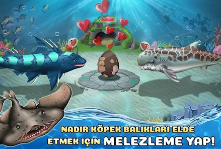 Ekran Görüntüsü 4