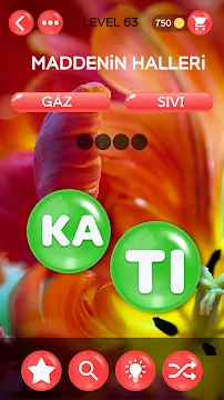 Ekran Görüntüsü 6
