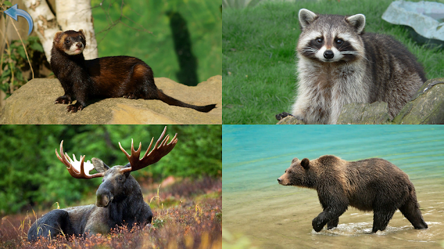 Ekran Görüntüsü 6