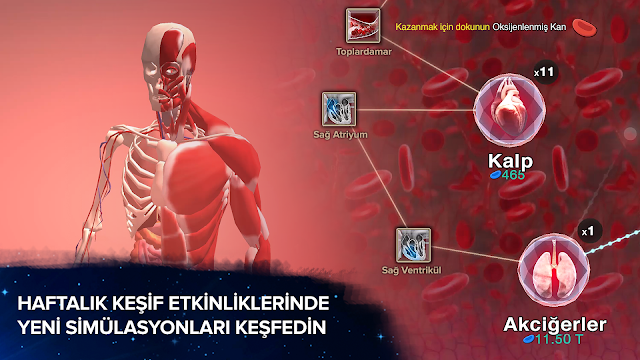 Ekran Görüntüsü 1