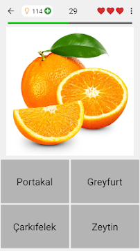 Ekran Görüntüsü 4
