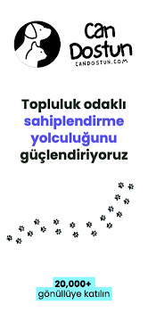 Ekran Görüntüsü 1