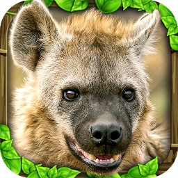 Hyena Simulator