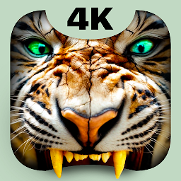 Kaplan 4K Duvar Live