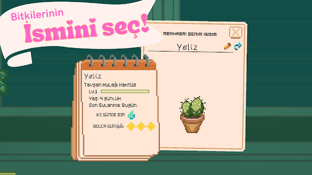 Ekran Görüntüsü 4