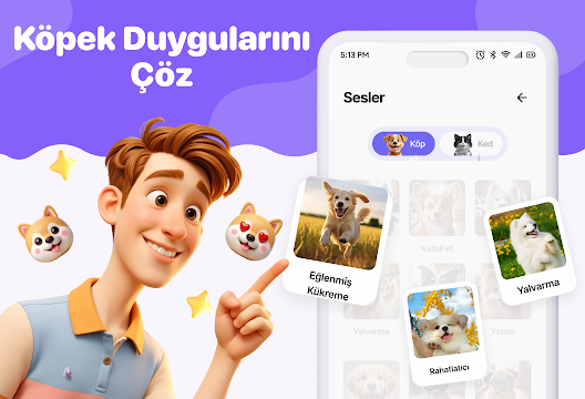 Ekran Görüntüsü 3