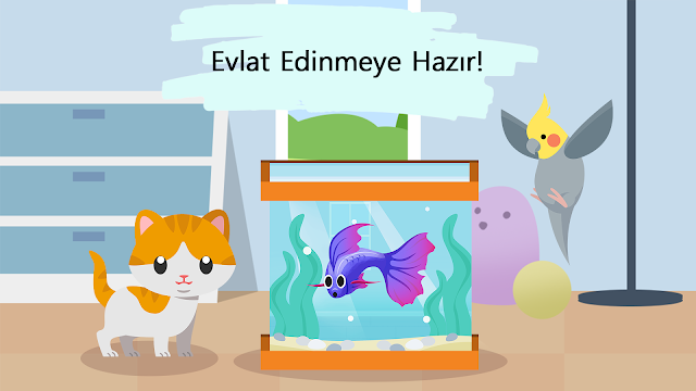 Ekran Görüntüsü 7