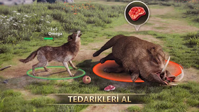 Ekran Görüntüsü 3