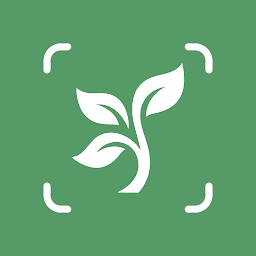 Bitki Tanımlayıcısı: Bitki App