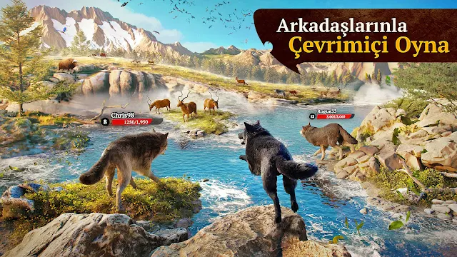 Ekran Görüntüsü 6
