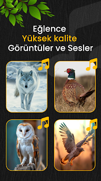 Ekran Görüntüsü 8