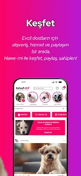 Ekran Görüntüsü 3
