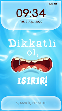 Ekran Görüntüsü 3