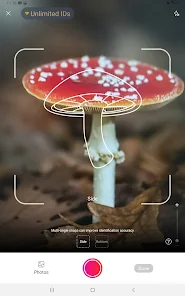 Ekran Görüntüsü 6